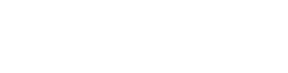flow! summit 2022